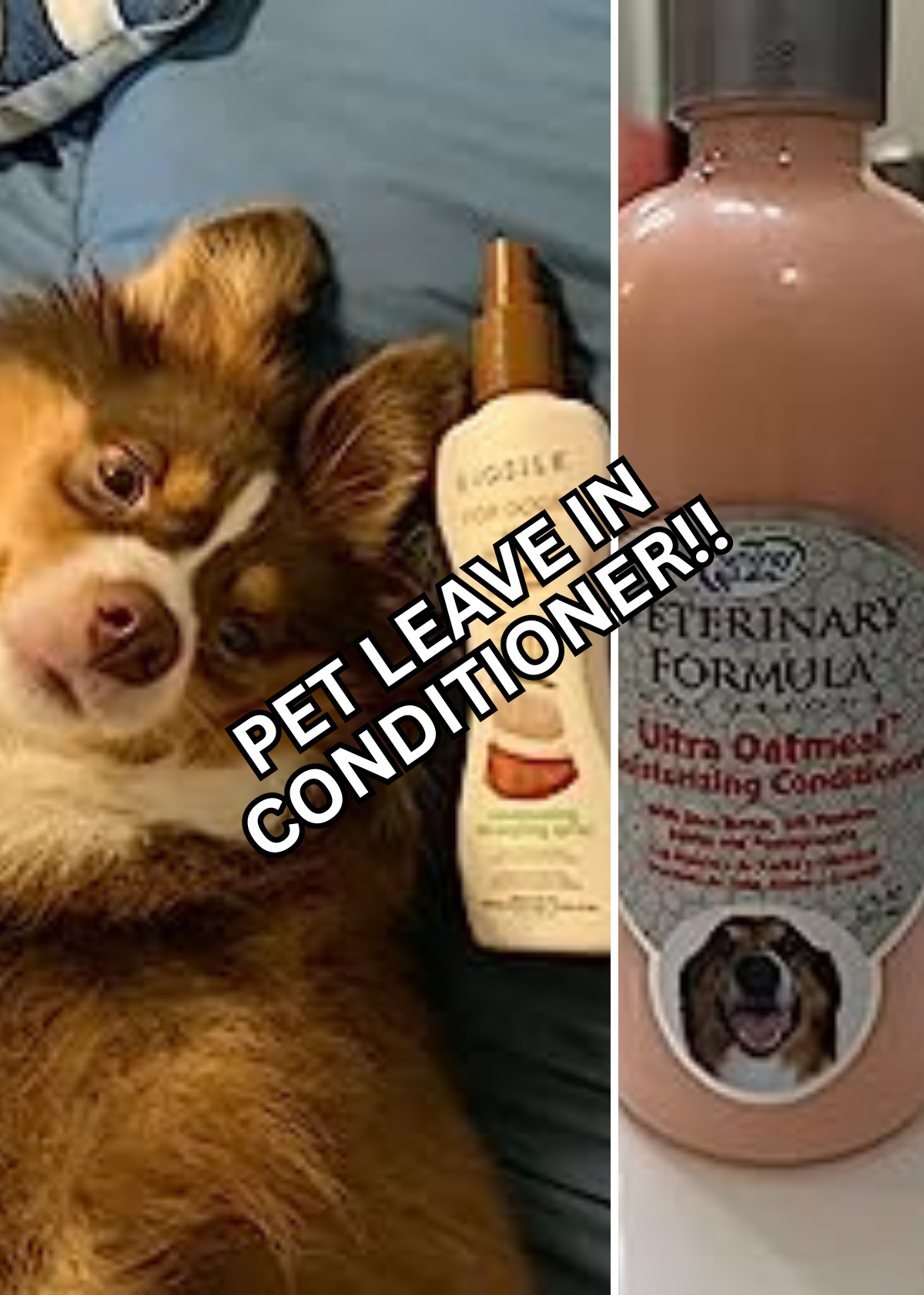 Best Pet Leave-in Conditioner