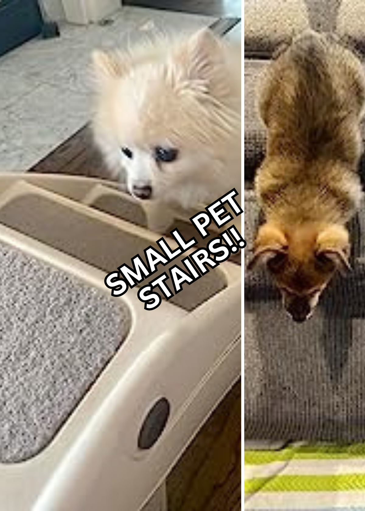 Pet Stairs For Small Dogs