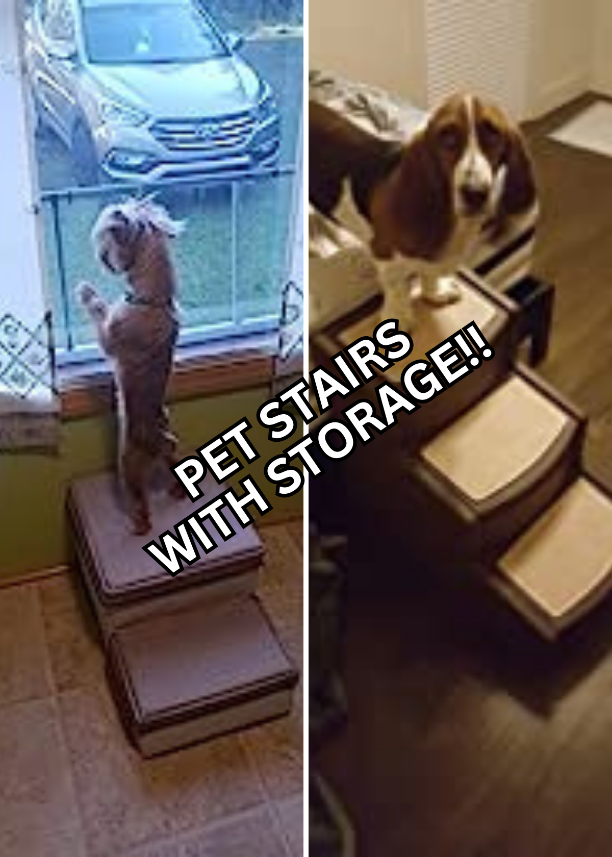 Pet Stairs with Storage