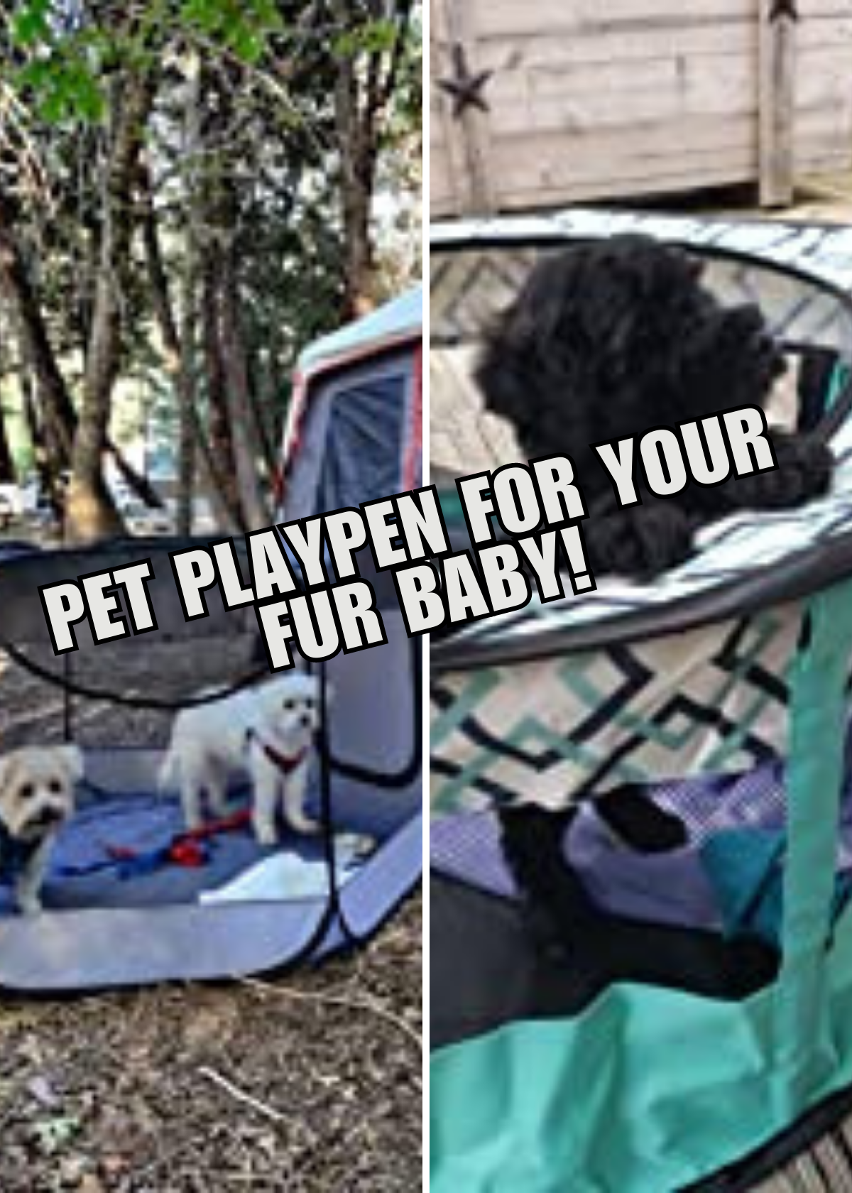 Best Portable Pet Playpens