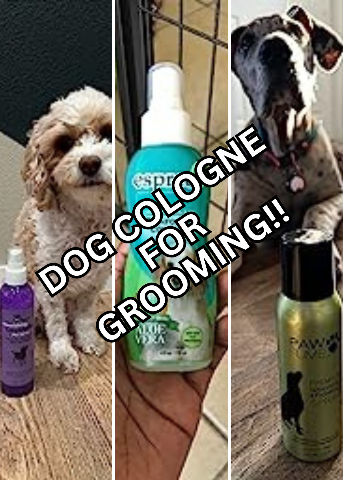 best dog cologne for grooming
