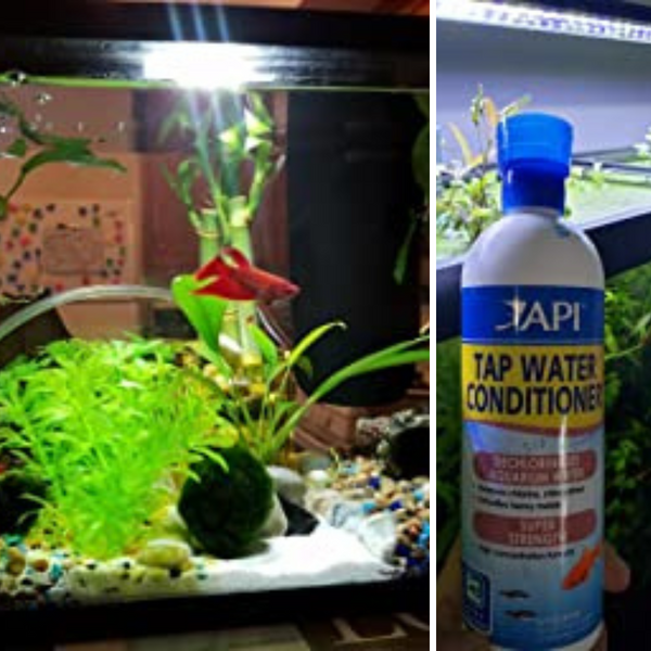 5 MustHave Aquarium Water Conditioners for Tap Water Making Fishy Dreams Come True!