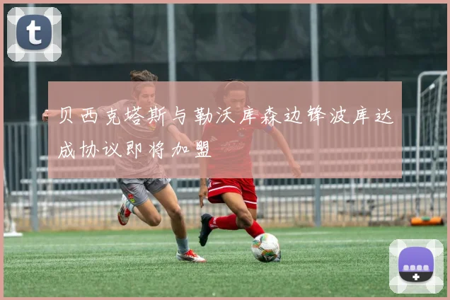 贝西克塔斯与勒沃库森边锋波库达成协议即将加盟